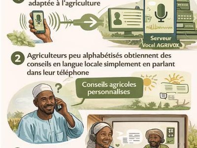 AgriVox: Voice-Oriented Agricultural Information for Farmers in Northern Cameroon