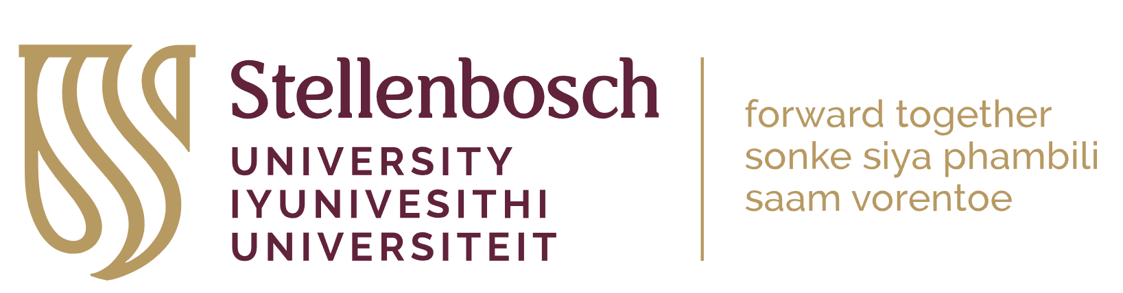 University of Stellenbosch